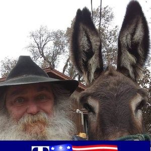 Meet your Posher, Joe